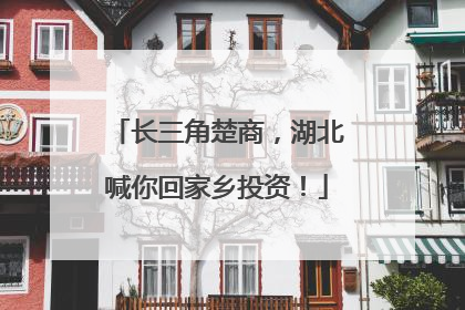 长三角楚商，湖北喊你回家乡投资！