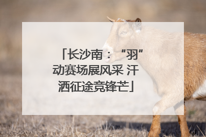 长沙南：“羽”动赛场展风采 汗洒征途竞锋芒