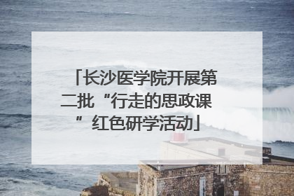 长沙医学院开展第二批“行走的思政课”红色研学活动