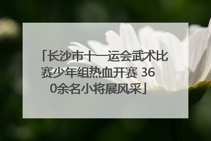 长沙市十一运会武术比赛少年组热血开赛 360余名小将展风采