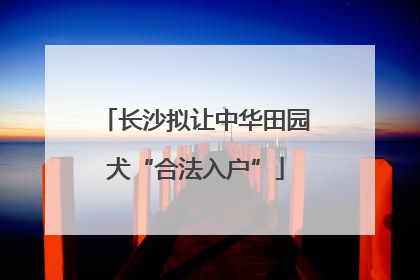 长沙拟让中华田园犬“合法入户”