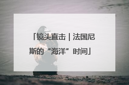 镜头直击｜法国尼斯的“海洋”时间