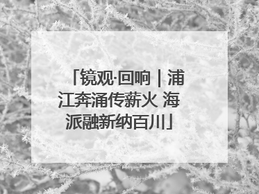 镜观·回响｜浦江奔涌传薪火 海派融新纳百川