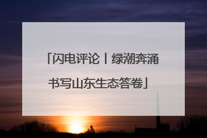 闪电评论丨绿潮奔涌 书写山东生态答卷