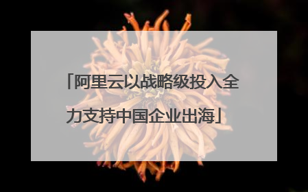阿里云以战略级投入全力支持中国企业出海