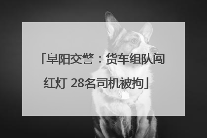 阜阳交警：货车组队闯红灯 28名司机被拘