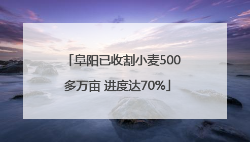 阜阳已收割小麦500多万亩 进度达70%