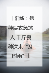 阳新：假种误农急煞人 千斤良种送来“及时雨”