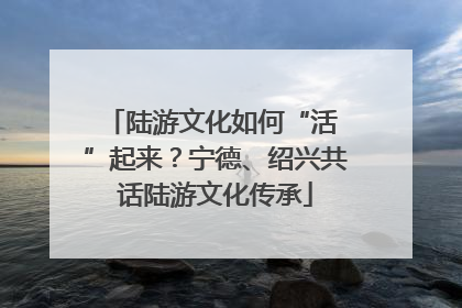 陆游文化如何“活 ”起来？宁德、绍兴共话陆游文化传承