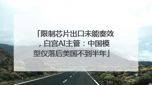 限制芯片出口未能奏效，白宫AI主管：中国模型仅落后美国不到半年