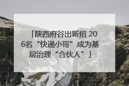 陕西府谷出新招 206名“快递小哥”成为基层治理“合伙人”