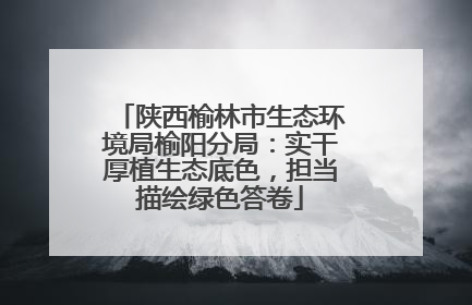 陕西榆林市生态环境局榆阳分局：实干厚植生态底色，担当描绘绿色答卷