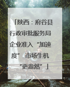 陕西：府谷县行政审批服务局企业准入“加速度” 市场生机“更盎然”