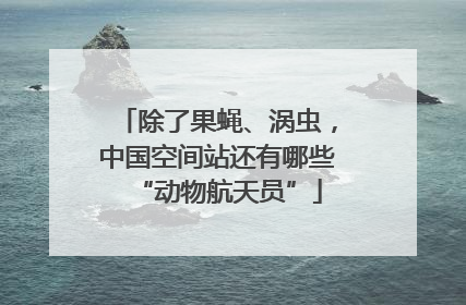 除了果蝇、涡虫，中国空间站还有哪些“动物航天员”