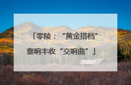 零陵：“黄金搭档”奏响丰收“交响曲”