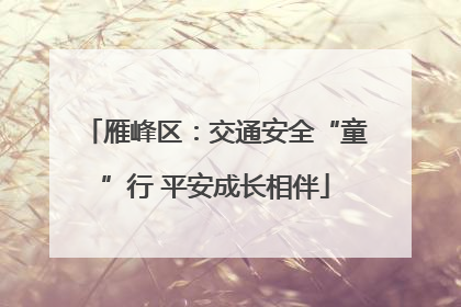 雁峰区：交通安全“童”行 平安成长相伴