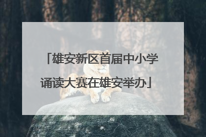 雄安新区首届中小学诵读大赛在雄安举办