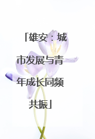 雄安：城市发展与青年成长同频共振