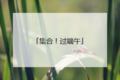 集合！过端午