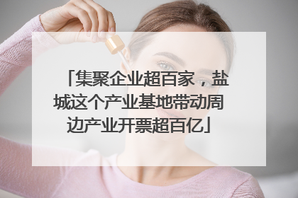 集聚企业超百家，盐城这个产业基地带动周边产业开票超百亿