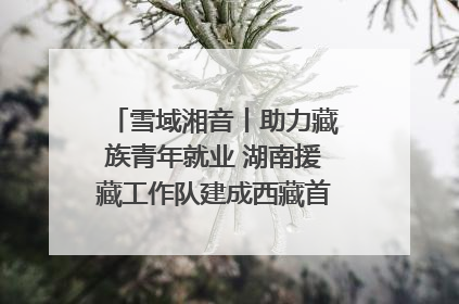 雪域湘音丨助力藏族青年就业 湖南援藏工作队建成西藏首个清洁能源装备园