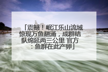 震撼！岷江乐山流域惊现万鱼翻涌，成群结队绵延两三公里 官方：鱼群在此产卵
