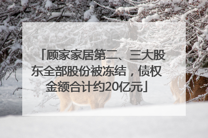 顾家家居第二、三大股东全部股份被冻结，债权金额合计约20亿元