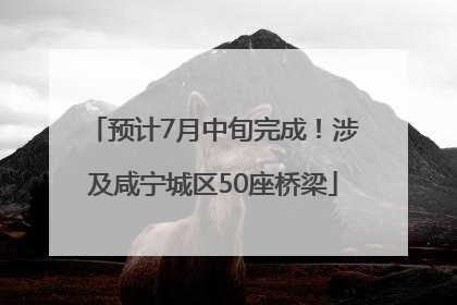 预计7月中旬完成！涉及咸宁城区50座桥梁