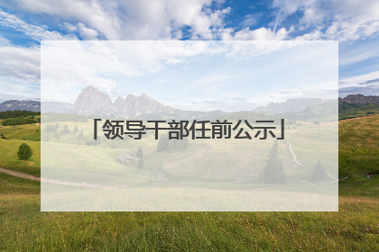 领导干部任前公示