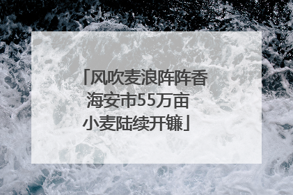 风吹麦浪阵阵香 海安市55万亩小麦陆续开镰