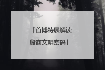 首博特展解读殷商文明密码