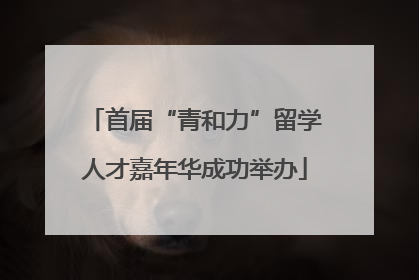 首届“青和力”留学人才嘉年华成功举办