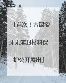 首次！古蜀象牙无灌封材料保护公开展出