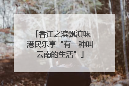 香江之滨飘滇味 港民乐享“有一种叫云南的生活”