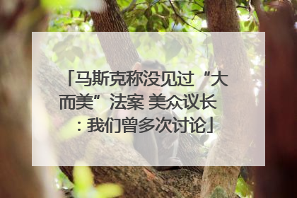 马斯克称没见过“大而美”法案 美众议长：我们曾多次讨论