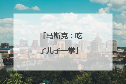 马斯克：吃了儿子一拳