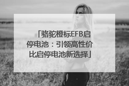 骆驼橙标EFB启停电池：引领高性价比启停电池新选择