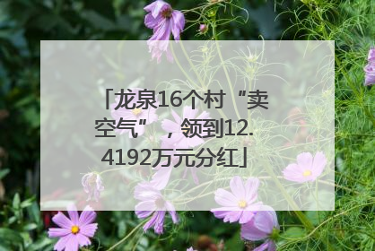 龙泉16个村“卖空气”，领到12.4192万元分红