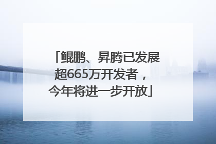 鲲鹏、昇腾已发展超665万开发者，今年将进一步开放