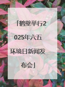 鹤壁举行2025年六五环境日新闻发布会