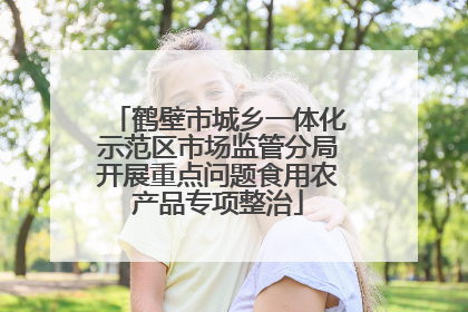 鹤壁市城乡一体化示范区市场监管分局开展重点问题食用农产品专项整治