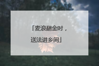 麦浪翻金时，送法进乡间