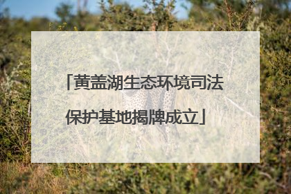 黄盖湖生态环境司法保护基地揭牌成立