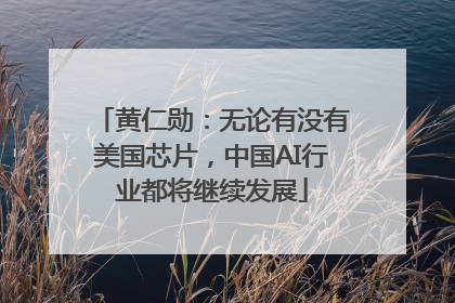 黄仁勋：无论有没有美国芯片，中国AI行业都将继续发展
