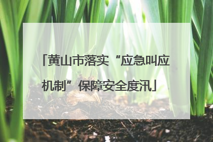 黄山市落实“应急叫应机制”保障安全度汛