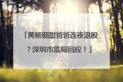黄杨钿甜爸爸连夜退股？深圳市监局回应！