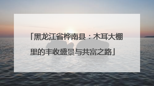 黑龙江省桦南县：木耳大棚里的丰收盛景与共富之路