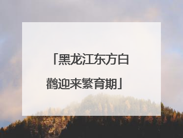 黑龙江东方白鹳迎来繁育期