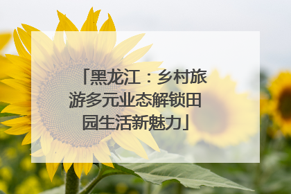 黑龙江：乡村旅游多元业态解锁田园生活新魅力