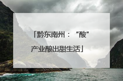 黔东南州：“酸”产业酿出甜生活